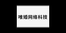 安徽信息技术服务技术指导 唯婚网络科技