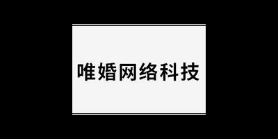 金山区信息化技术服务价格走势 唯婚网络科技